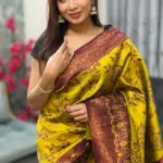 Kanchipuram Saree IKL-009